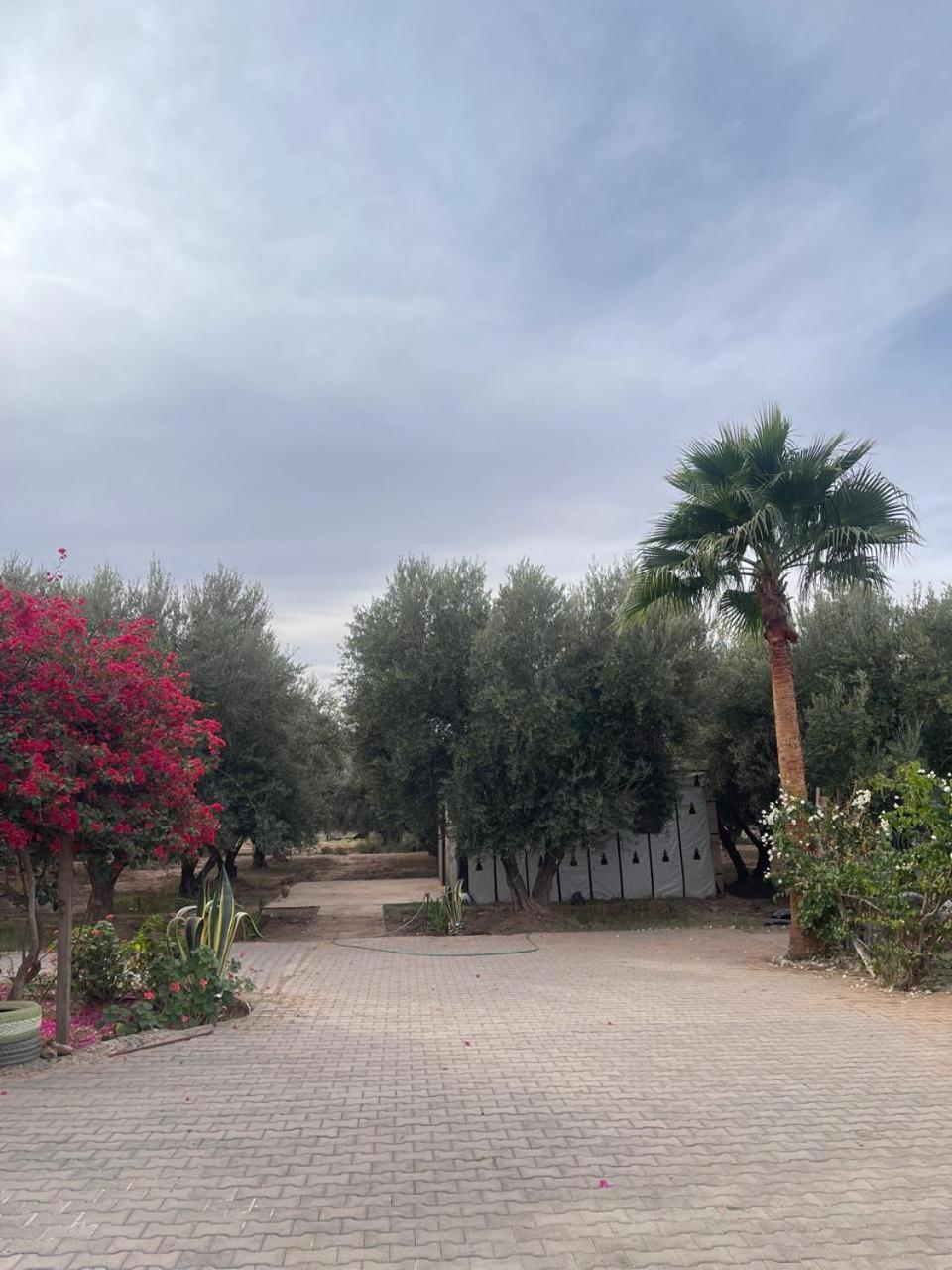 Riad Oussari Marrakesh Buitenkant foto