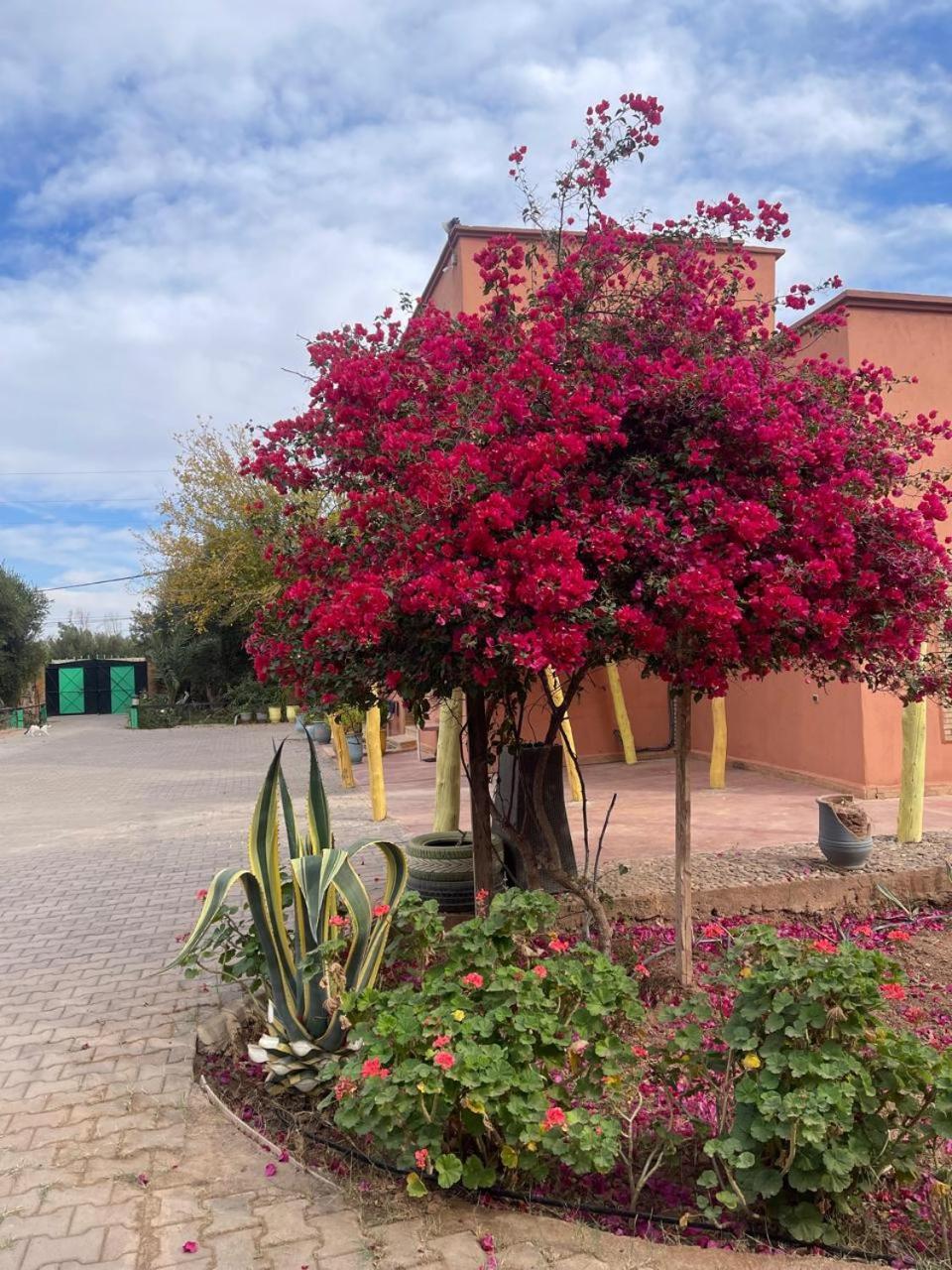 Riad Oussari Marrakesh Buitenkant foto